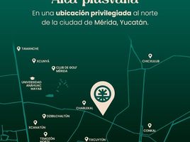  Grundstück zu verkaufen in Conkal, Yucatan, Conkal