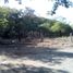  Land for sale in Manzanillo, Colima, Manzanillo
