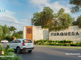  Land for sale in Dzidzantun, Yucatan, Dzidzantun