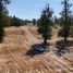  Terreno (Parcela) en venta en Chile, Purranque, Osorno, Los Lagos, Chile