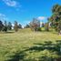  Terreno (Parcela) en venta en Chile, Purranque, Osorno, Los Lagos, Chile