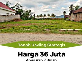  Land for sale in Banyuwangi, East Jawa, Gambiran, Banyuwangi