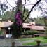 3 Bedroom Villa for sale in Tlalpan, Mexico City, Tlalpan