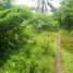  Land for sale in Selemadeg, Tabanan, Selemadeg