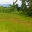  Land for sale in Selemadeg, Tabanan, Selemadeg