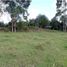 Terrain à vendre à Rionegro, Antioquia, Rionegro, Antioquia