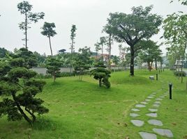 4 Schlafzimmer Villa zu verkaufen in Long Bien, Hanoi, Gia Thuy