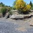  Terreno (Parcela) en venta en Araucanía, Villarrica, Cautín, Araucanía