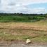  Land for sale in Selemadeg, Tabanan, Selemadeg