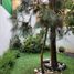 3 Schlafzimmer Villa zu verkaufen in Huixquilucan, Mexico, Huixquilucan
