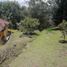 3 Bedroom House for sale in Guarne, Antioquia, Guarne