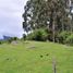 Terreno (Parcela) en venta en Llanquihue, Los Lagos, Puerto Varas, Llanquihue