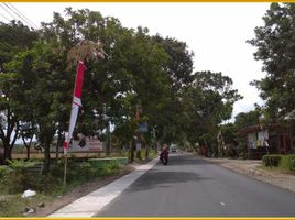  Land for sale in Yogyakarta, Gamping, Sleman, Yogyakarta