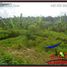  Land for sale in Ubud, Gianyar, Ubud