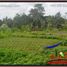  Land for sale in Ubud, Gianyar, Ubud