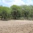  Land for sale in Asientos, Aguascalientes, Asientos