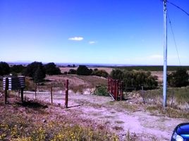  Land for sale in Coronel Pringles, San Luis, Coronel Pringles