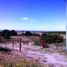  Land for sale in Coronel Pringles, San Luis, Coronel Pringles