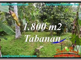  Land for sale in Penebel, Tabanan, Penebel