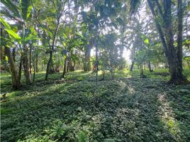  Terreno (Parcela) en venta en Bugaba, Chiriquí, Gómez, Bugaba