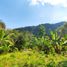  Grundstück zu verkaufen in Lombok Barat, West Nusa Tenggara, Gunung Sari