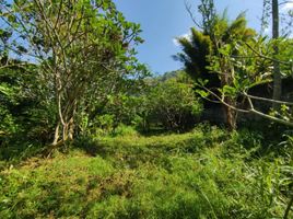  Grundstück zu verkaufen in Lombok Barat, West Nusa Tenggara, Gunung Sari