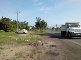  Terreno (Parcela) en venta en Morelia, Michoacán, Morelia