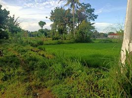  Land for sale in Ngemplak, Sleman, Ngemplak