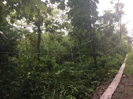  Land for sale in Sedayu, Bantul, Sedayu