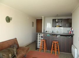 1 Habitación Departamento en venta en Chile, Puente Alto, Cordillera, Santiago, Chile