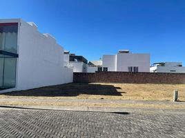 Terrain à vendre à Zapopan, Jalisco, Zapopan, Jalisco