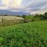  Land for sale in Quindio, Calarca, Quindio