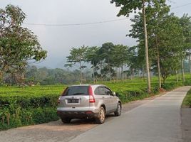  Terrain for sale in Puncak Gunung Mas Tea Gardens, Cisarua, Cisarua