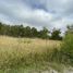  Land for sale in Chile, Puerto Octay, Osorno, Los Lagos, Chile