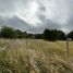  Land for sale in Chile, Puerto Octay, Osorno, Los Lagos, Chile