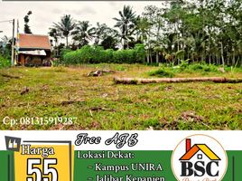  Land for sale in Malang Regency, East Jawa, Kepanjen, Malang Regency