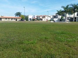  Land for sale in Altamira, Tamaulipas, Altamira, Tamaulipas