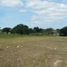 Land for sale in Altamira, Tamaulipas, Altamira, Tamaulipas