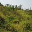  Land for sale in Bandung Institute of Technology, Sukajadi, Cidadap