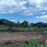  Land for sale in Dist Juchitan, Oaxaca, Dist Juchitan
