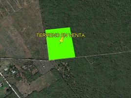  Terreno (Parcela) en venta en Yaxkukul, Yucatán, Yaxkukul