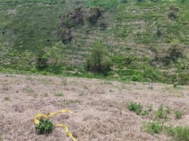  Terreno (Parcela) en venta en Ulloa, Valle Del Cauca, Ulloa