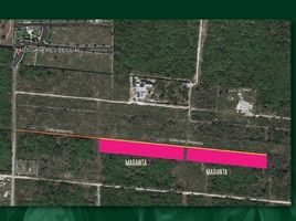  Land for sale in Merida, Yucatan, Merida, Yucatan