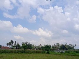  Land for sale in Jenggawah, Jember, Jenggawah