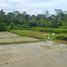  Tanah for sale in Tampak Siring, Gianyar, Tampak Siring