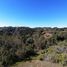  Land for sale in Chile, Navidad, Cardenal Caro, Libertador General Bernardo Ohiggins, Chile