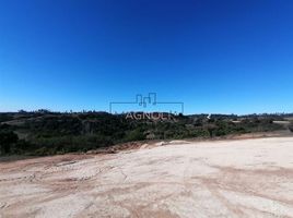  Land for sale in Chile, Navidad, Cardenal Caro, Libertador General Bernardo Ohiggins, Chile