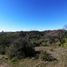  Land for sale in Chile, Navidad, Cardenal Caro, Libertador General Bernardo Ohiggins, Chile
