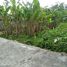  Land for sale in Depok, Sleman, Depok