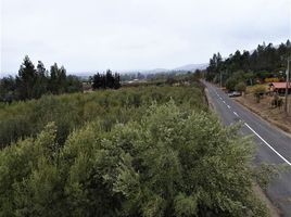  Land for sale in Quillota Valparaiso, Quillota, Quillota
